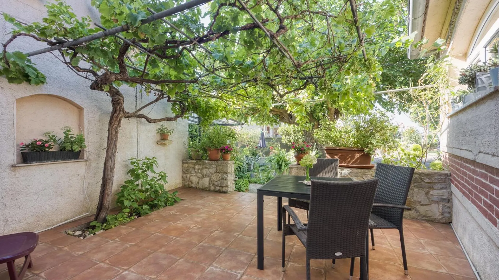 Apartments Lex - Rovinj - Istria